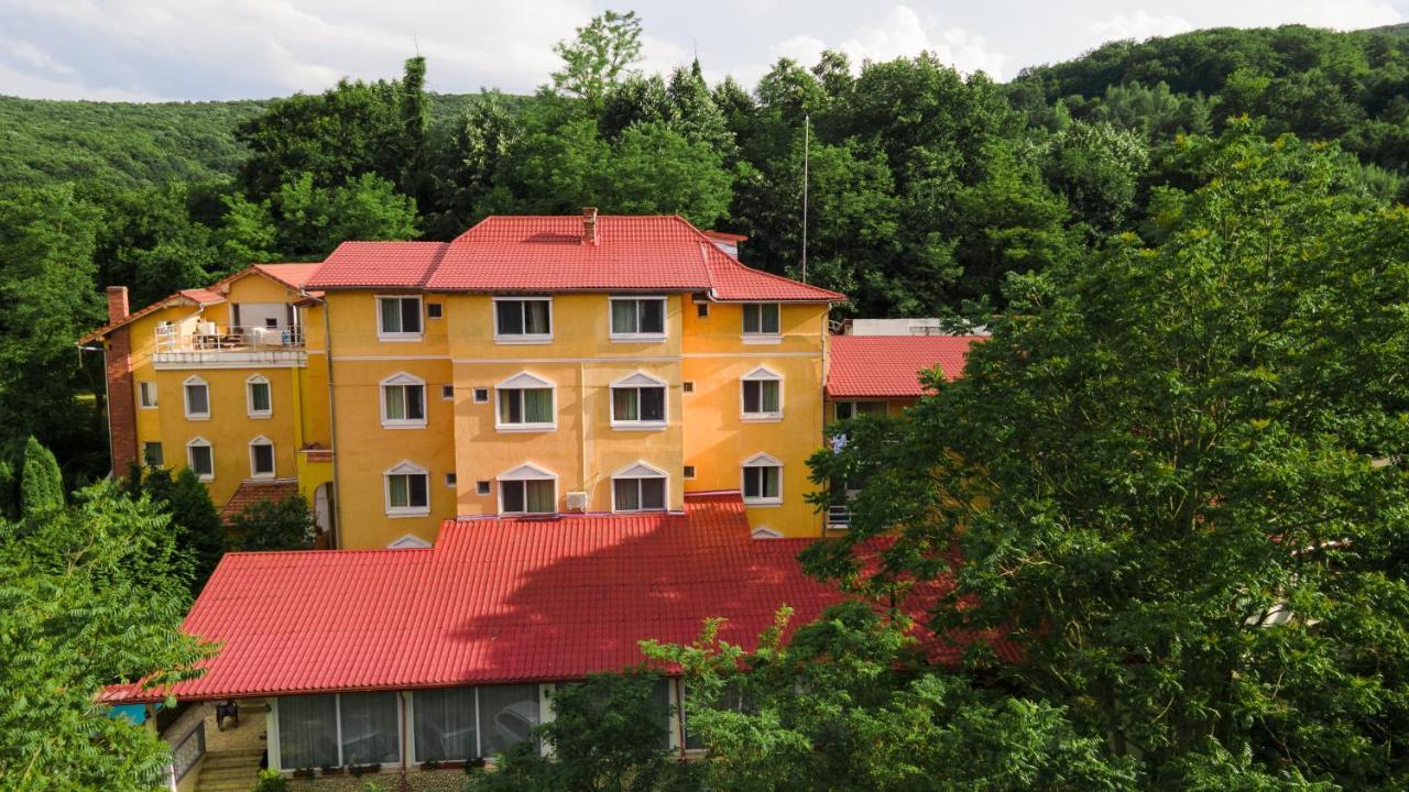 Aida Hotel Spa & Tratament Geoagiu Băi المظهر الخارجي الصورة
