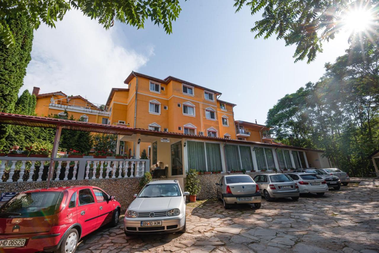 Aida Hotel Spa & Tratament Geoagiu Băi المظهر الخارجي الصورة